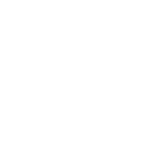 SGS_ISO9001-300x293